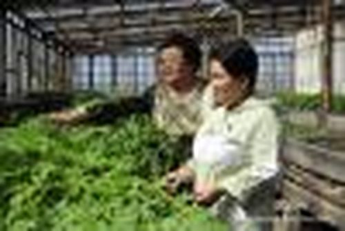 Вторая жизнь агробиостанции