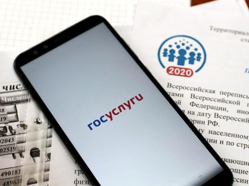 Всероссийскую перепись на портале «Госуслуги» продлили до 14 ноября