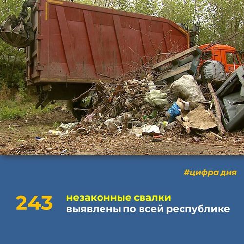 Министерство лесного хозяйства Тувы начало работу по ликвидации несанкционированных свалок