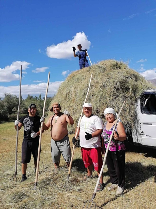Работники культуры Эрзинского района оказывают помощь ветерану в заготовке кормов