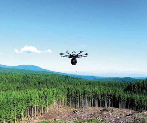 Чаа национал төлевилел-биле ужудукчу чок хамааты ужар чүүлдер санын көвүдедир