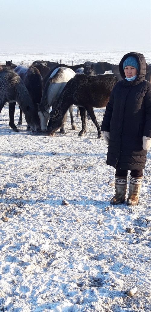 Айкыз Хайын: «Агростартап» помогает осуществлять мечту