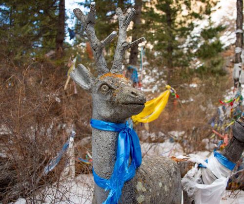 Аржааннар удавас “быжар”