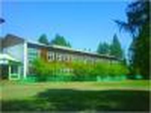 Спасибо судьбе