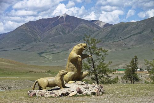 В Монгун-Тайгинском кожууне введены ограничительные меры из-за COVID-19