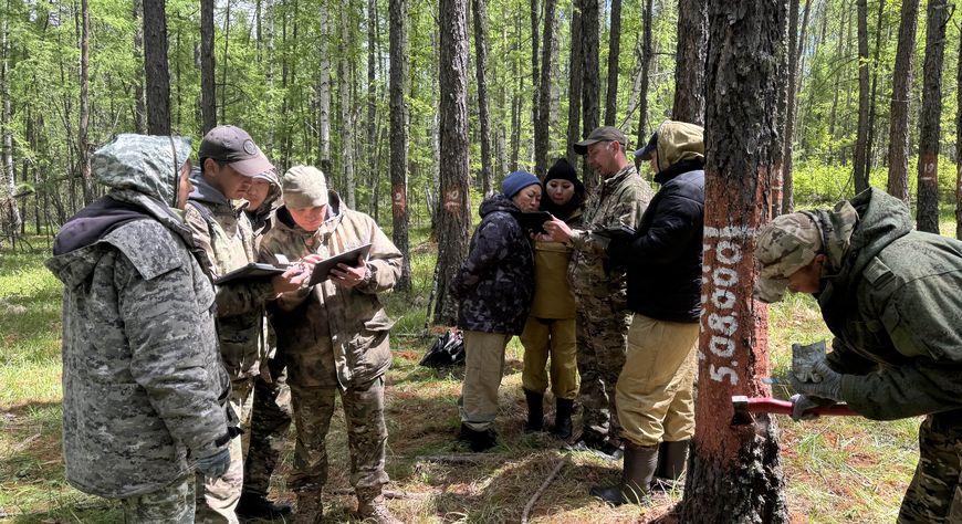 Лесопатологи Тувы провели полевую тренировку