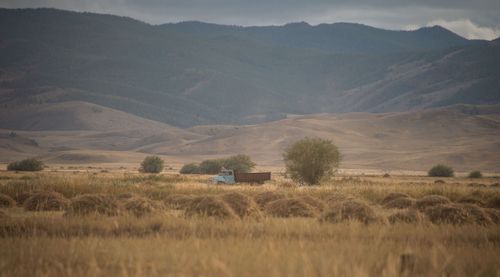 Тывага кааң чай чер ажылдыгларга херек хемчээлдиг мал чемин белеткээринге шаптыктаваан