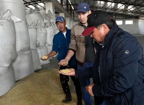 Глава Тувы ознакомился с ходом уборочной кампании в Танды