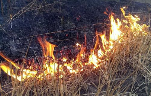 В Туве школьник поджег сухую траву и спалил забор