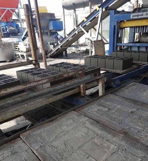 Эртине Данзынай: Господдержка вырабатывает антитела для защиты бизнеса в Туве ​