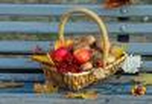 На выставке — дары природы