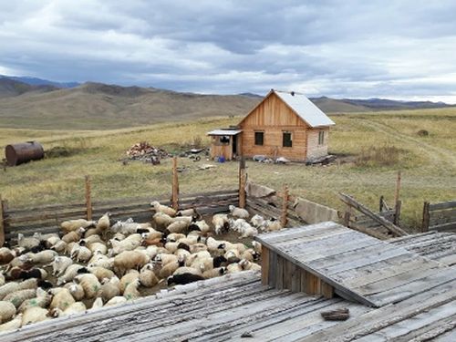 В Туве подвели итоги губернаторского проекта «Кыштаг для молодой семьи»