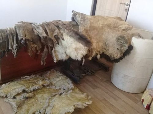 В Туве продолжается реализация губернаторского проекта «Кеш»