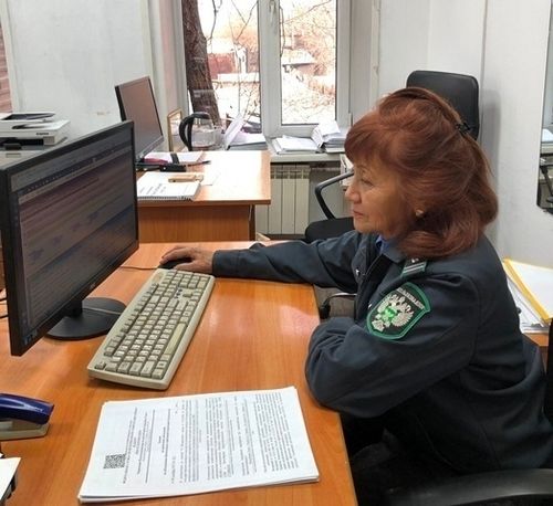 Россельхознадзор выявил почти пять десятков фитосанитарных нарушений в Туве за десять месяцев 2025 года