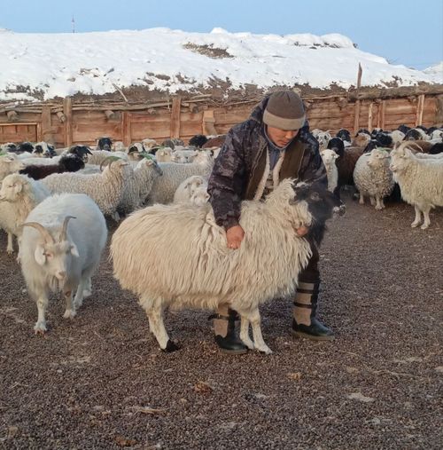 Дело предков - в крови
