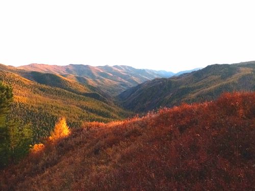 В ТУВЕ УСТАНОВИЛИ ГРАНИЦЫ ОСОБО ОХРАНЯЕМЫХ ПРИРОДНЫХ ТЕРРИТОРИЙ