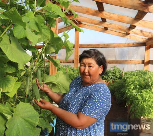 Элбек дүжүт – өг-бүлениң орулгазын көвүдедир бүзүрелдиг магадылал