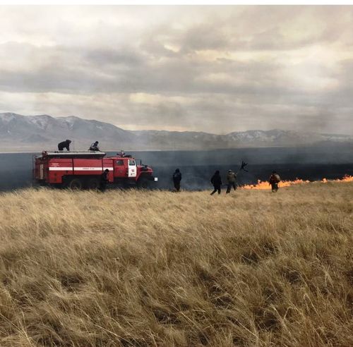 Он бир хову өрттү бүрүткеттинген