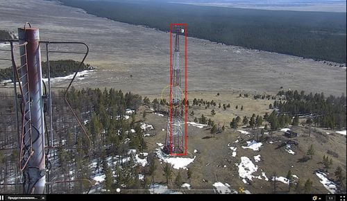 Обнаружить лесной пожар стало возможным в режиме онлайн