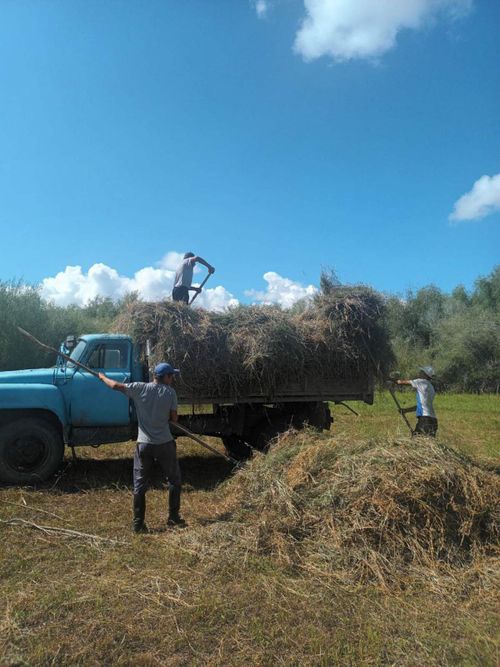 В Тес-Хемском районе в разгаре кормозаготовительная кампания