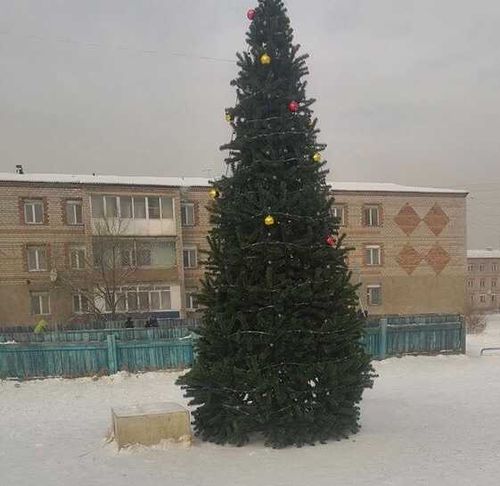 В Кызыле от рук вандалов пострадала новогодняя ёлка