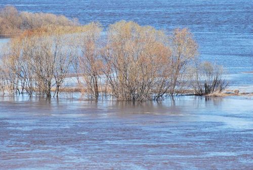 Мэрия рассматривает вопрос эвакуации жителей Вавилинского затона и ЛДО