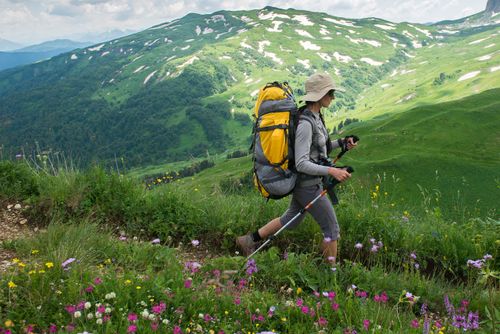 Экотуризм в Сибири: в Туве проложены четыре экотропы и маршрута