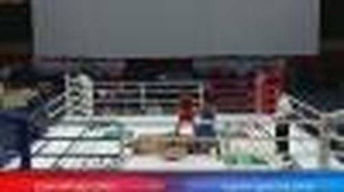 Золотая перчатка Артыша