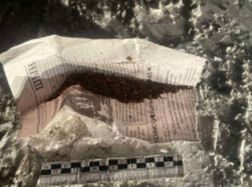 Удачно прокатился: В Туве задержали водителя без прав и с гашишем