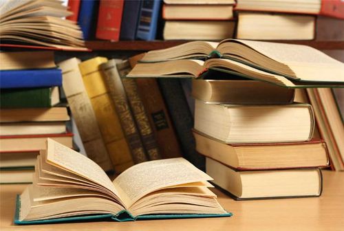 В Туве в рамках Международного года языков коренных народов издадут специальные книги и комплектации для классов родного языка