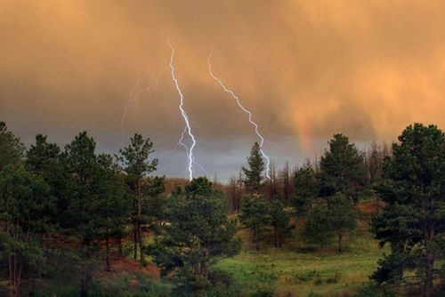 Кургаг чаңныктар өрттерни болдурган