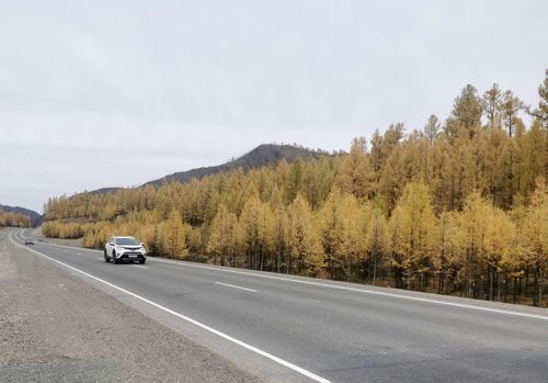 В Туве отремонтировали 11 км автодороги Р-257 «Енисей» и два искусственных сооружения