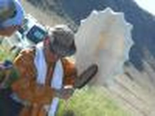 Голос Вечного Синего Неба