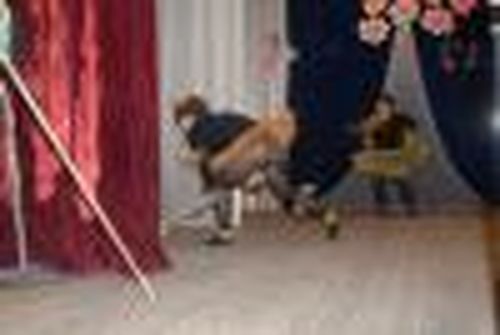 Лечиться никогда не поздно…