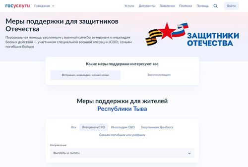 На Госуслугах с 1 мая заработает специальный раздел для участников СВО и членов их семей