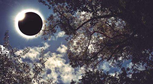 Сегодня будет самое долгое лунное затмение за последние пять веков