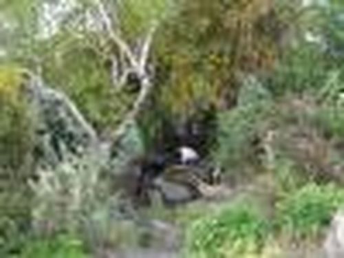 Целебные аржааны Танды