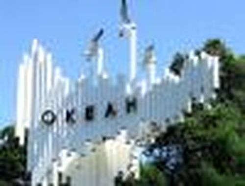 Я б в вожатые пошел…