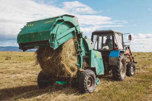Баштайгы сарааттар.