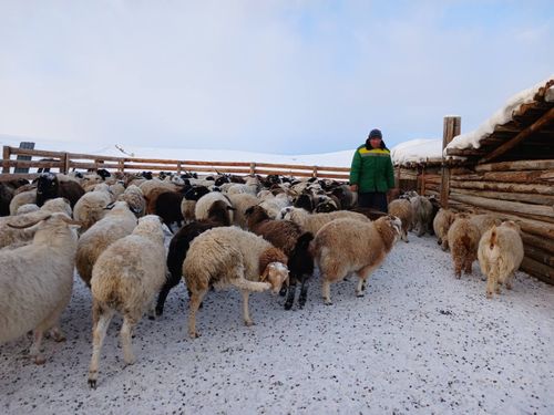 Кыштаглаашкынны чидириг чок эртер дээш