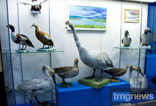 Иван Путинцев: «Призванный сохранить и умножать»