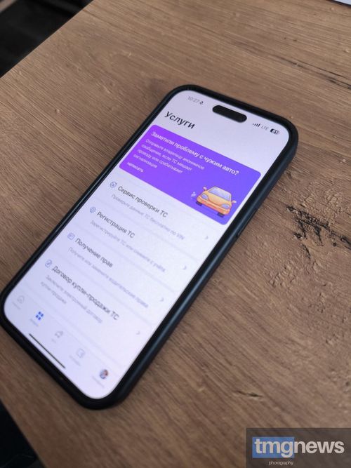 На Госуслугах появились водительские чаты