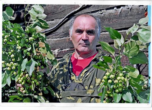 И НА ТОДЖЕ ЯБЛОНИ ЦВЕТУТ ...