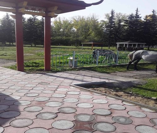 Бодамчалыг ажыглаар болза эки