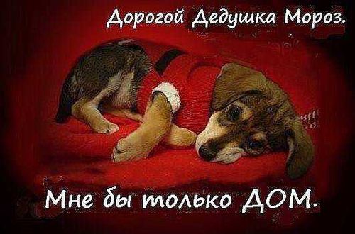 Временный дом для малышей.