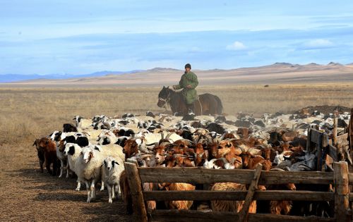 Тываның аграрлыг комплекизин хөгжүдер программа деткимчени алган