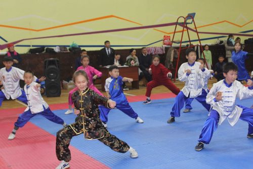 Тувинские ушуисты могут поехать на юношеские Олимпийские игры