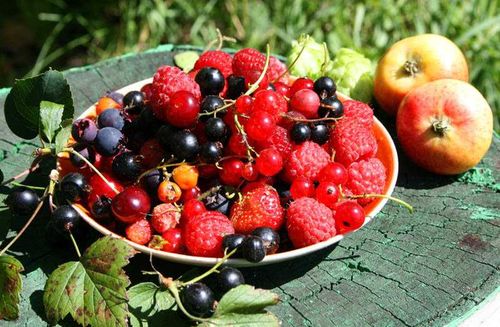 Кара-Хаак и Черби. Новый курс развития