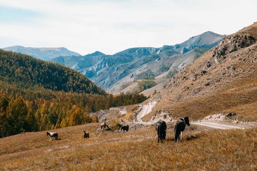 В Тере-Хольском районе будут ремонтировать дороги