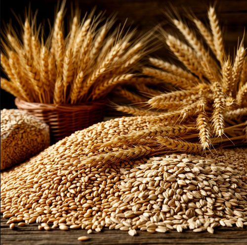 Более трех тысяч тонн растительной продукции экспортировано через Туву в Монголию в 2025 году